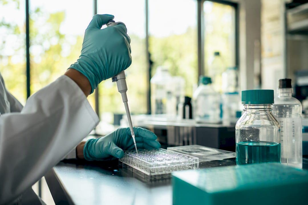 BMP-2 Peptide: Definition, Mechanism, and Research Applications