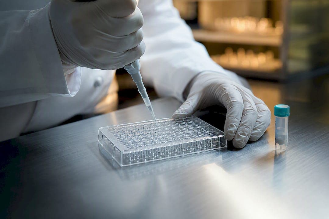 Selank Research: 1 Hour and 3 Hour Gene Signals Researchers Need