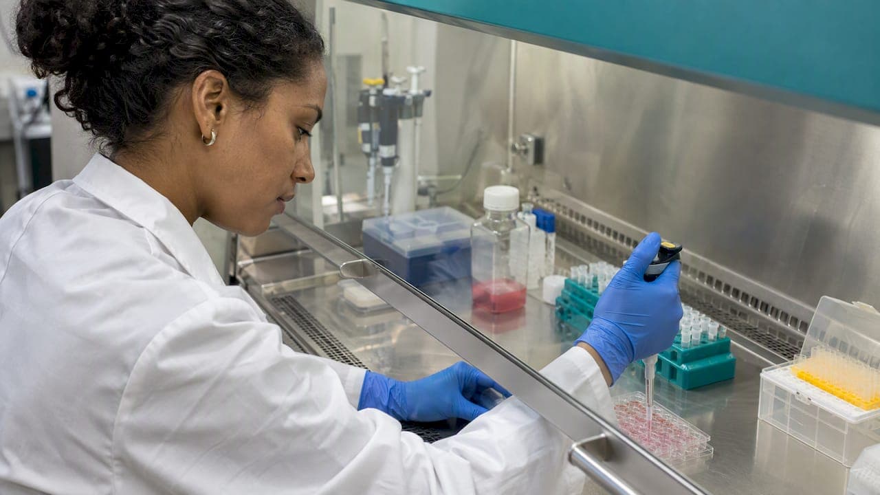 TLR Peptides in Research: Targets, Mechanisms and Limits